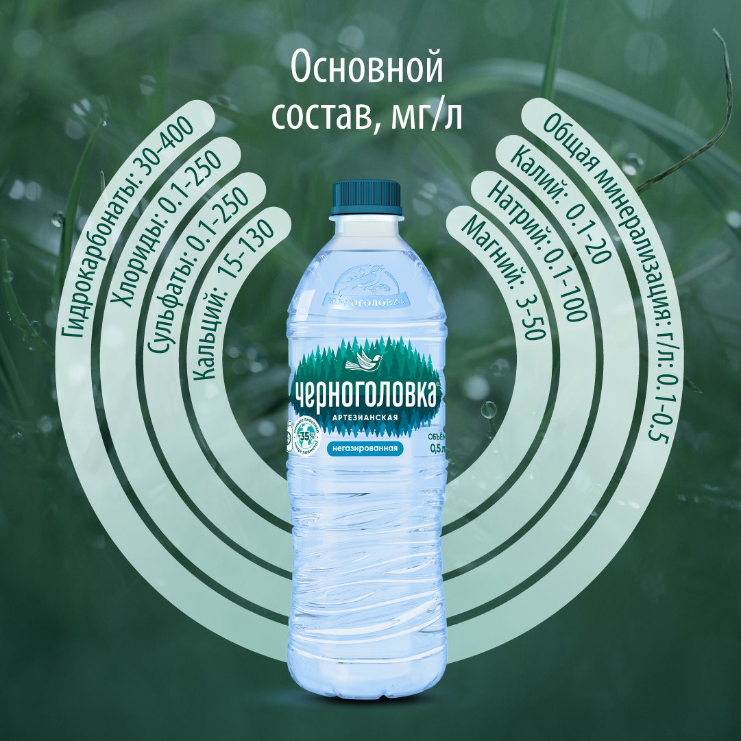 Вода питьевая артезианская ЧЕРНОГОЛОВКА 0,5 л, без газа, ПЭТ