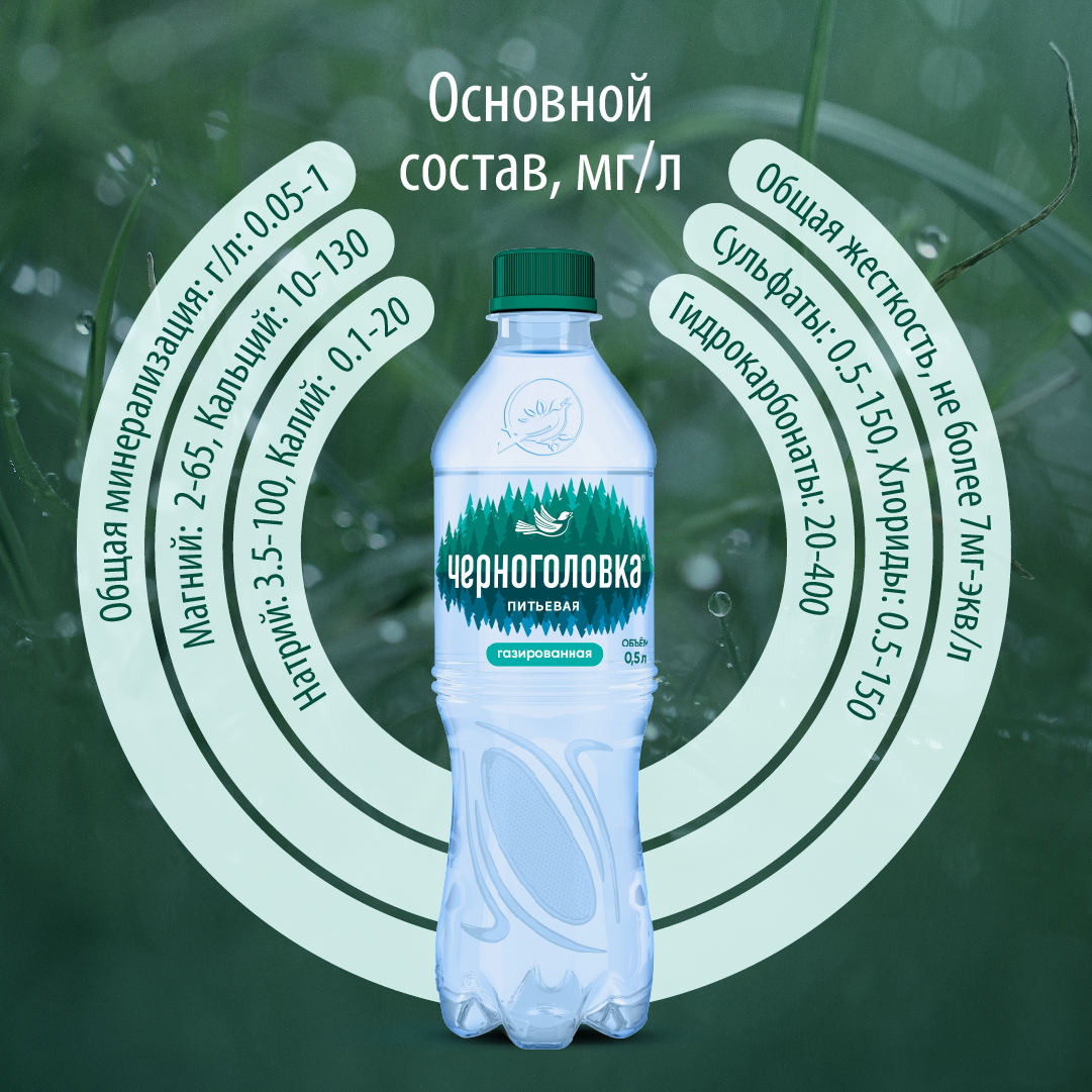 Вода питьевая ЧЕРНОГОЛОВКА 0,5 л, газ, ПЭТ