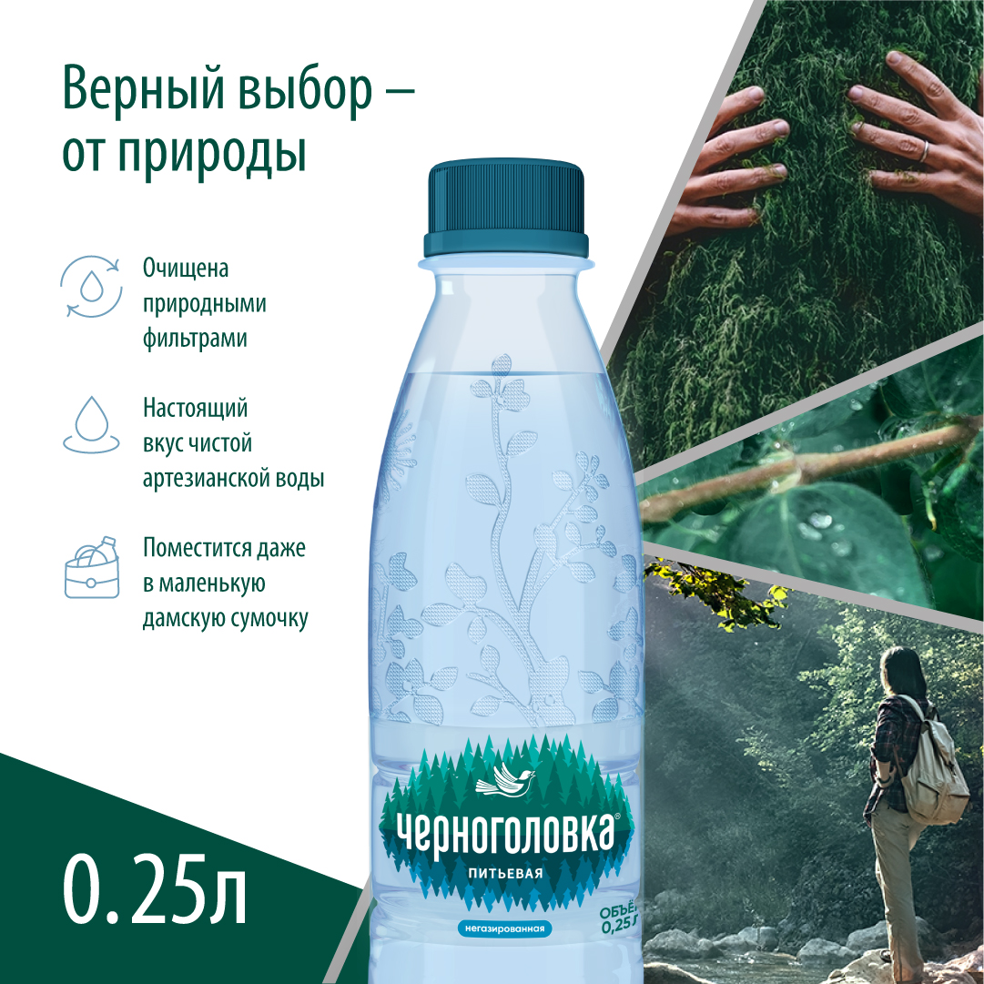 Вода питьевая артезианская ЧЕРНОГОЛОВКА 0,25 л, без газа, ПЭТ