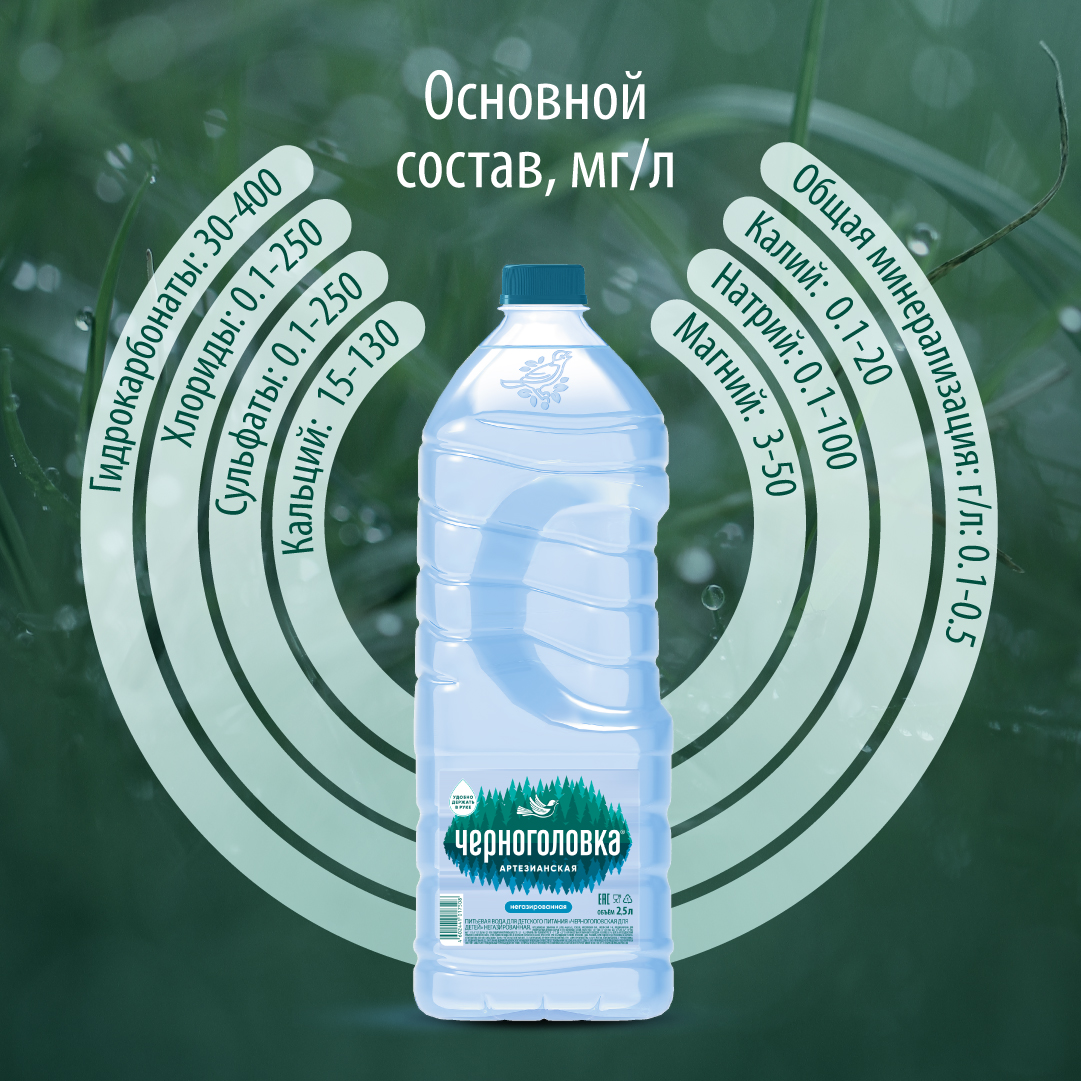 Вода питьевая артезианская ЧЕРНОГОЛОВКА 2,5 л, без газа, ПЭТ