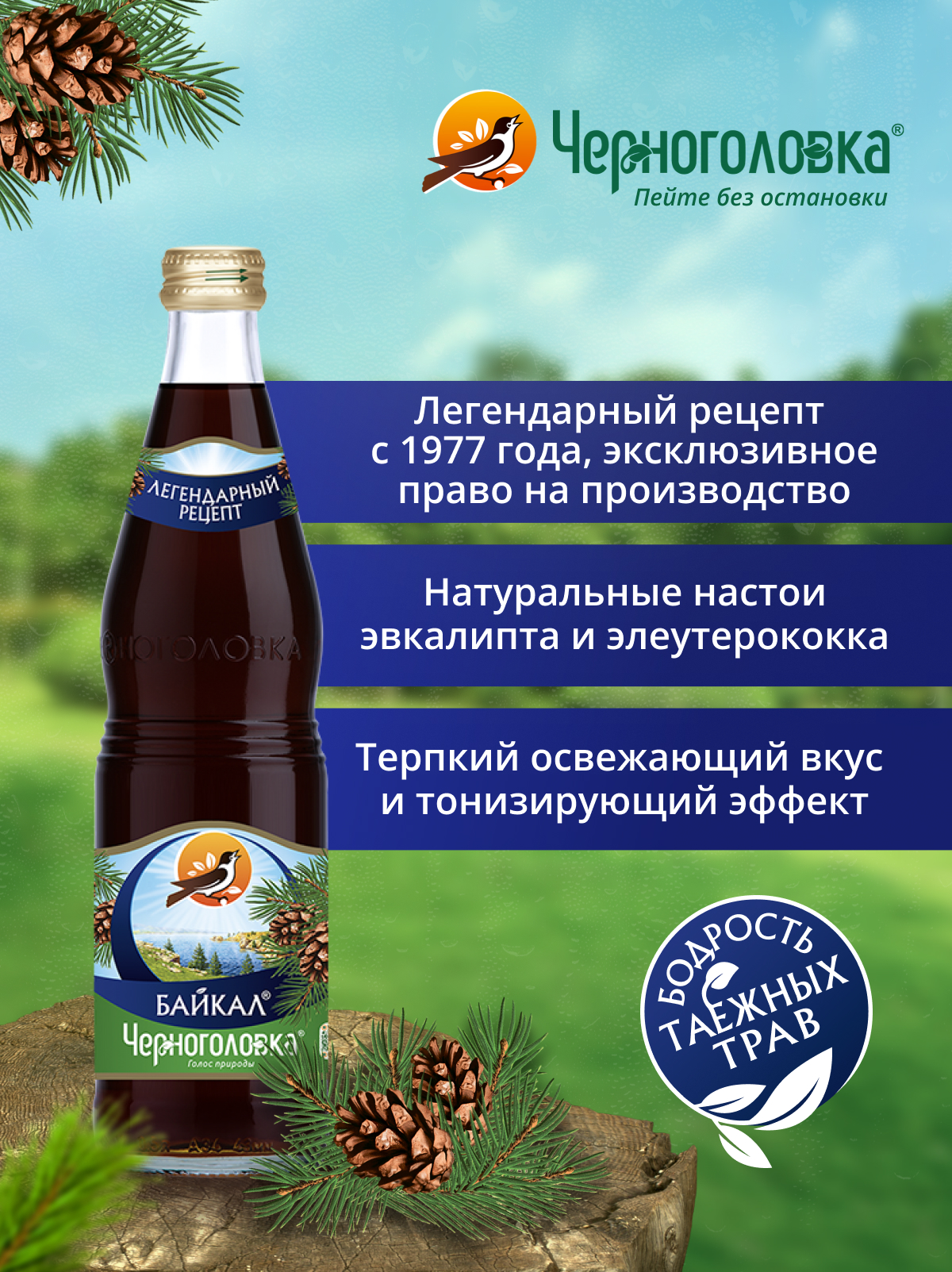 Лимонад ЧЕРНОГОЛОВКА Байкал 0,5 л, газ, стекло