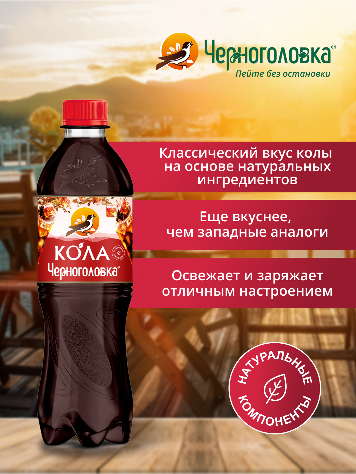 ЧЕРНОГОЛОВКА Кола 0,5 л, газ, ПЭТ