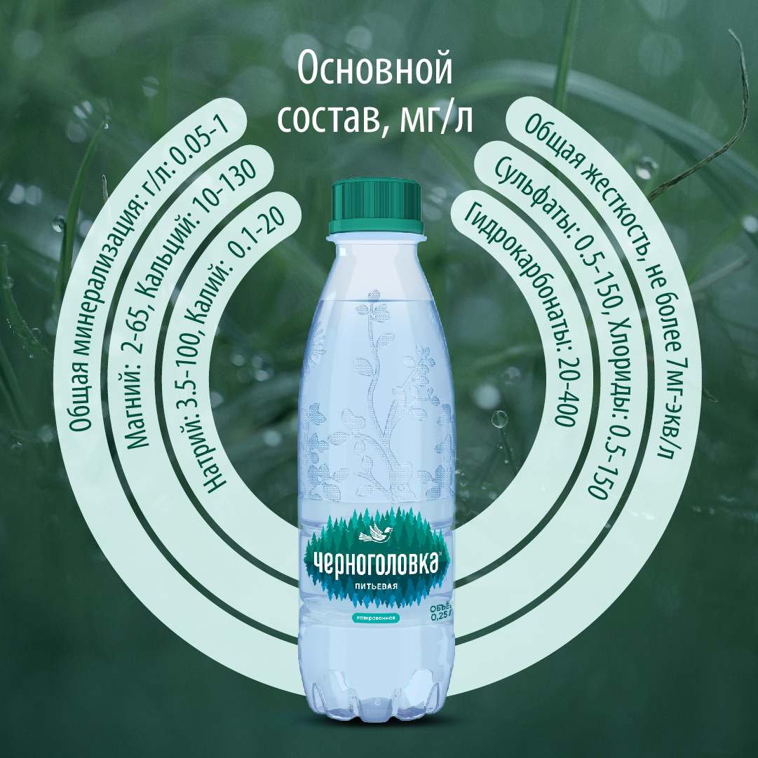 Вода питьевая артезианская ЧЕРНОГОЛОВКА 0,25 л, газ, ПЭТ