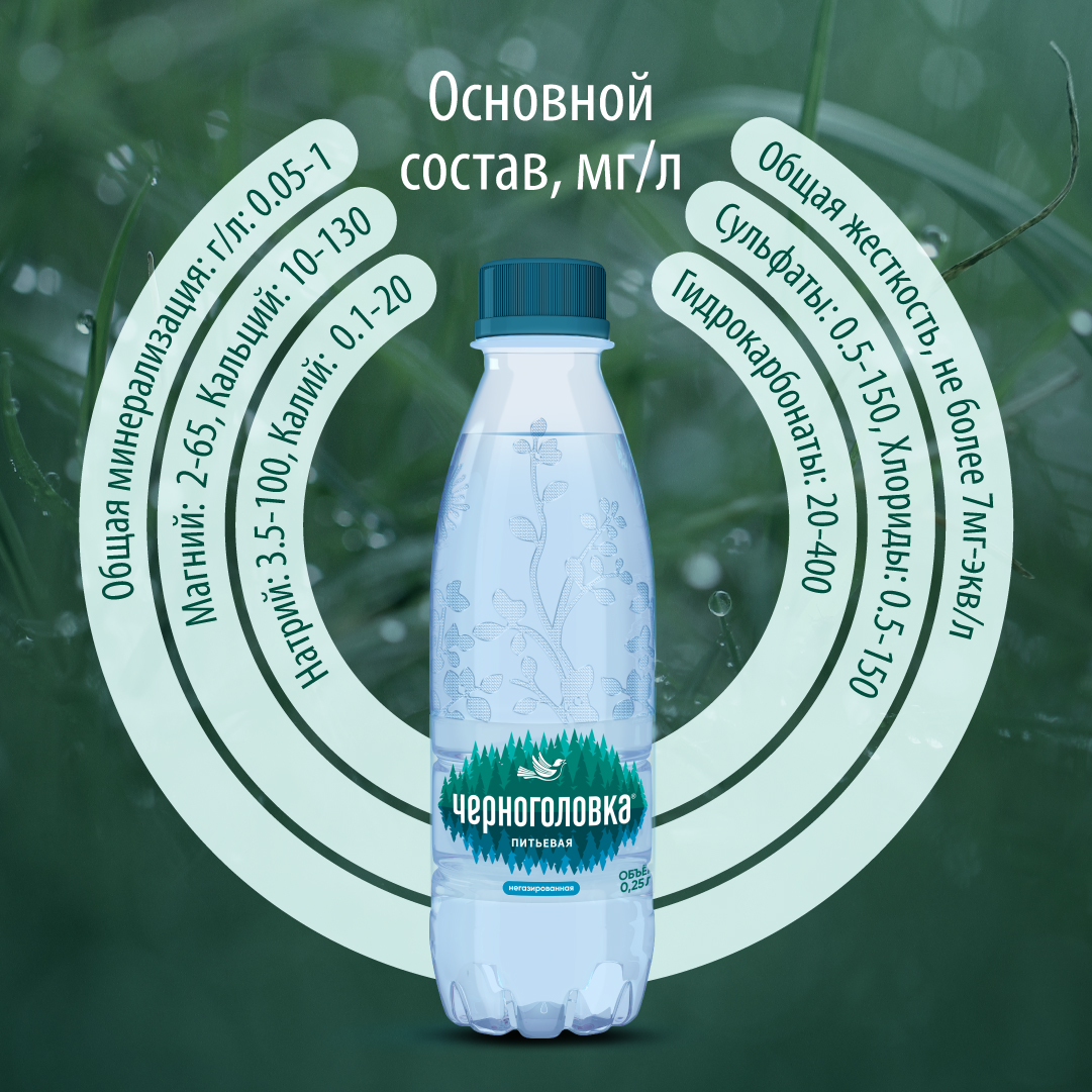 Вода питьевая артезианская ЧЕРНОГОЛОВКА 0,25 л, без газа, ПЭТ