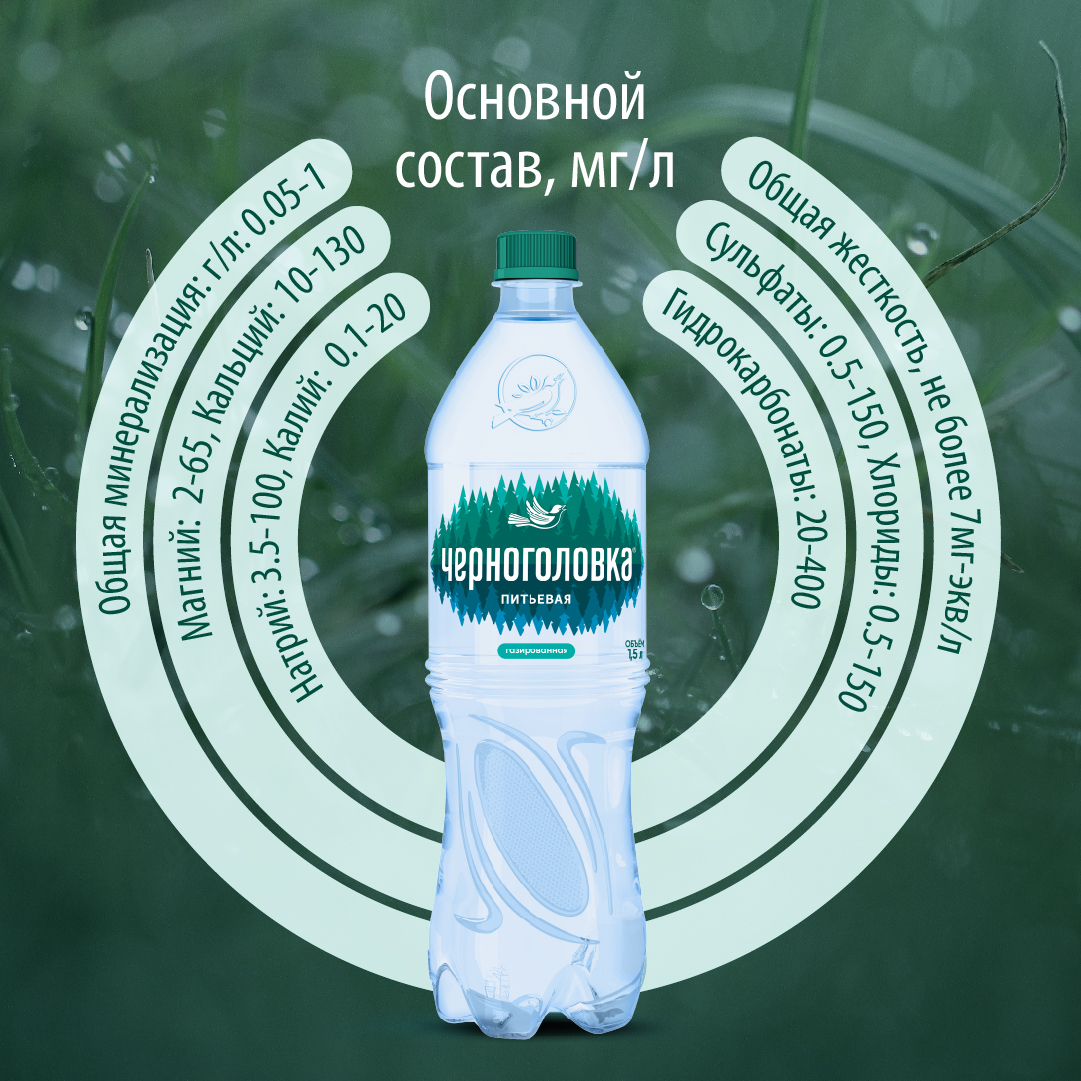 Вода питьевая артезианская ЧЕРНОГОЛОВКА 1,5 л, газ, ПЭТ