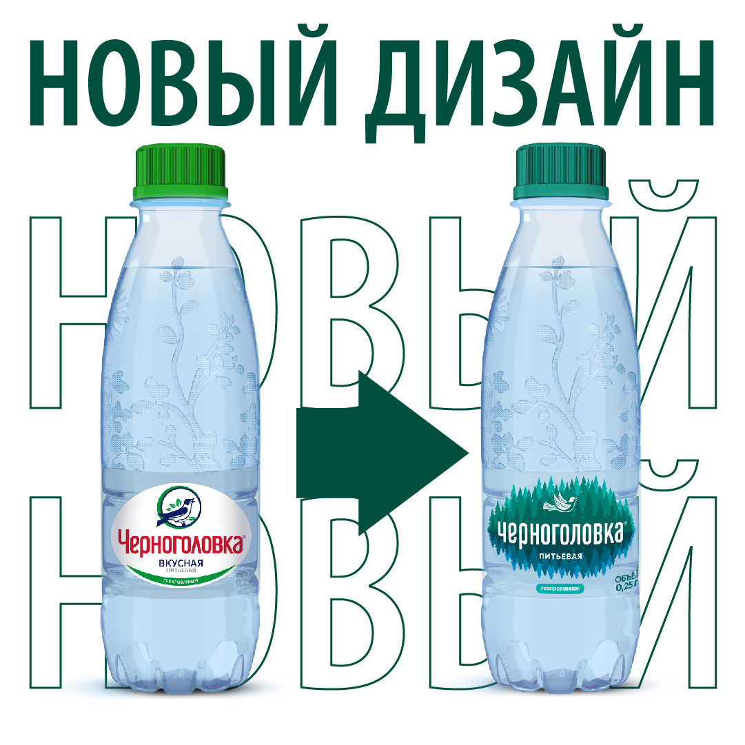 Вода питьевая артезианская ЧЕРНОГОЛОВКА 0,25 л, газ, ПЭТ