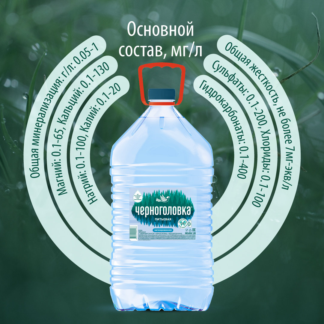 Вода питьевая ЧЕРНОГОЛОВКА 5,0 л